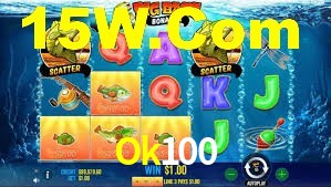 Explore as vantagens do Ok100: serviço profissional e confiabilidade